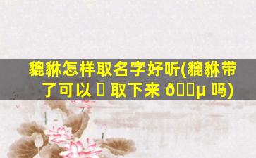 貔貅怎样取名字好听(貔貅带了可以 ☘ 取下来 🐵 吗)